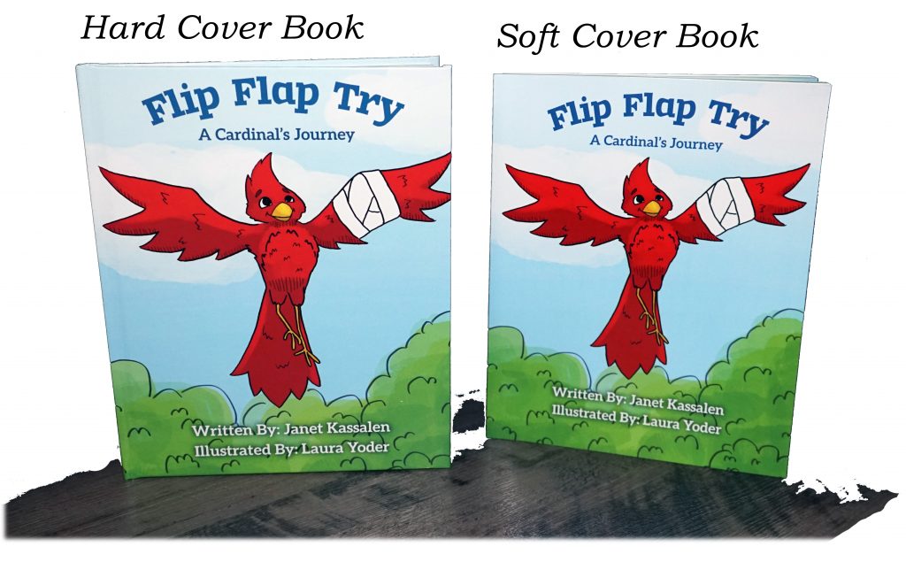 Flip Flap Try by Janet Kassalen Hard and Soft Cover Books